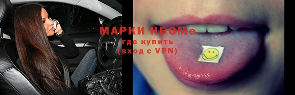 шишки Медвежьегорск