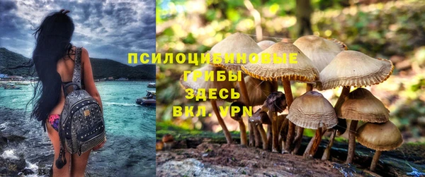 мет Майский