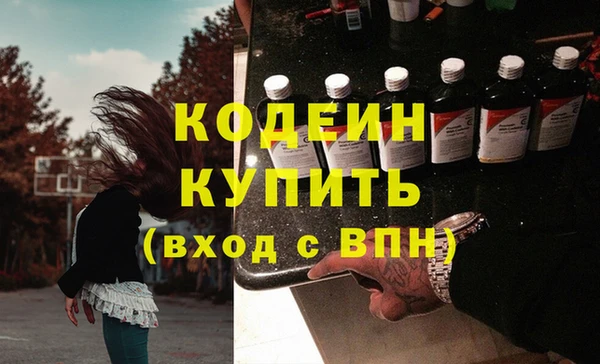 шишки Медвежьегорск