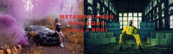 шишки Медвежьегорск