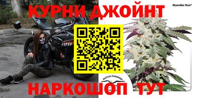 трава Кимры