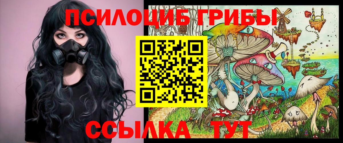 Галлюциногенные грибы Cubensis Миллерово