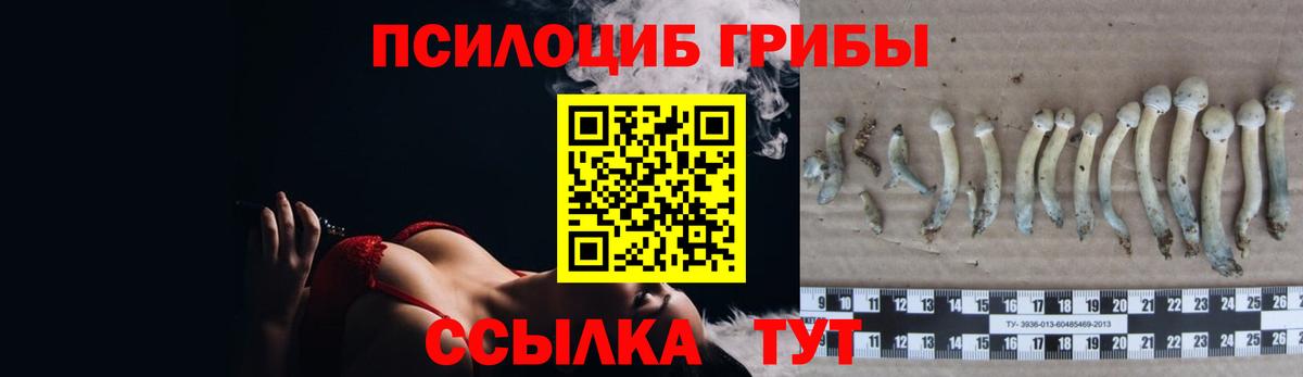 Псилоцибиновые грибы Magic Shrooms  Галлюциногенные грибы прущие грибы  Вход с VPN  Миллерово 